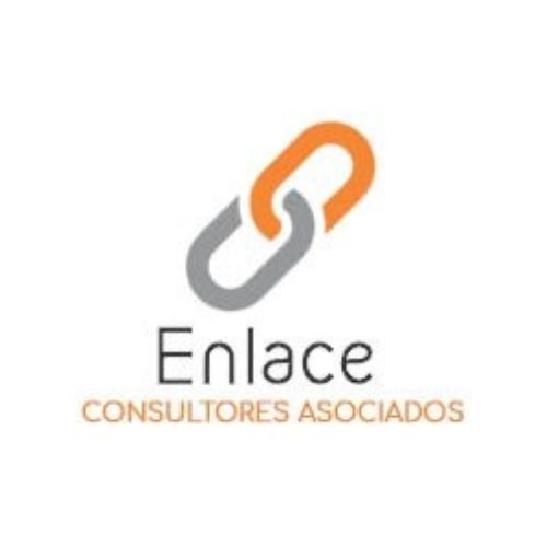 Enlace Consultora